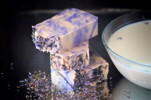 Тур Сіль і шампанське: Святогірськ, Слов'янськ, Бахмут - продукція ферми Святогірська коза